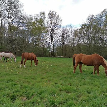 Gite En Creuse Moutier-Malcard Exterior foto